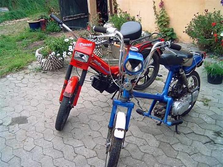 Tomos Quadro a-35 solgt - min tomos sammen med min gamle honda express billede 5
