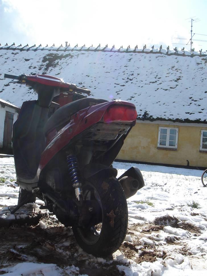 PGO Hot 50 til solgt billede 6