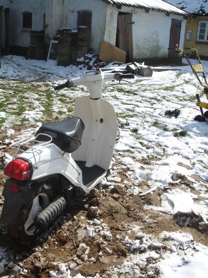 Yamaha Passola billede 9