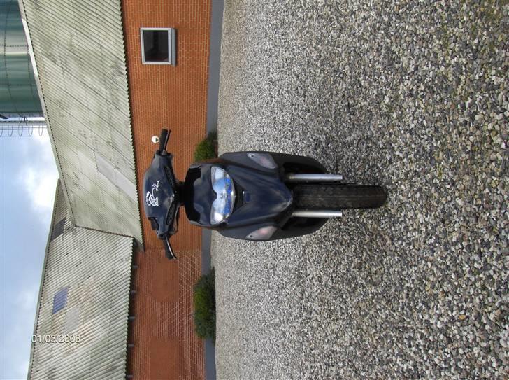 Honda sfx  billede 5