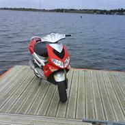 Peugeot speedfight 2 rallyVictory