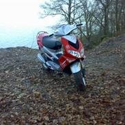 Peugeot speedfight 2 rallyVictory