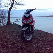 Peugeot speedfight 2 rallyVictory