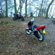 Peugeot speedfight 2 rallyVictory