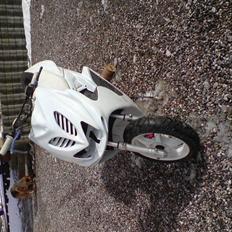 Yamaha Pata Negra Rox Byttet