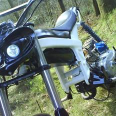 Suzuki Street magic ( SOLGT )