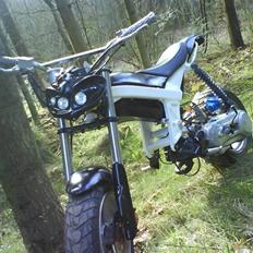 Suzuki Street magic ( SOLGT )