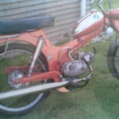 Puch ms50 SOLGT