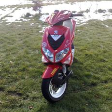 Peugeot Peugeot speedfight 2 WRC