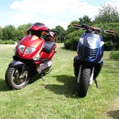 PGO Dr.big Byttet til Stalker