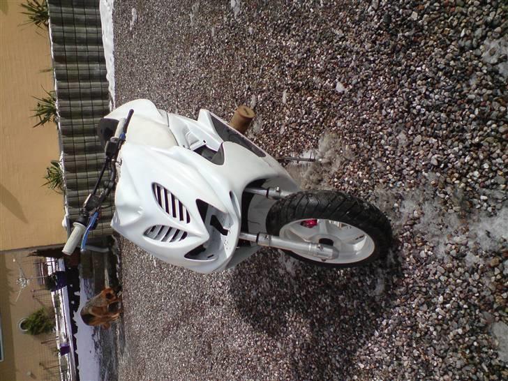 Yamaha Pata Negra Rox Byttet billede 3