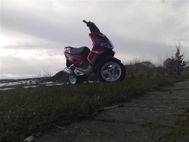 Peugeot Peugeot speedfight 2 WRC billede 9