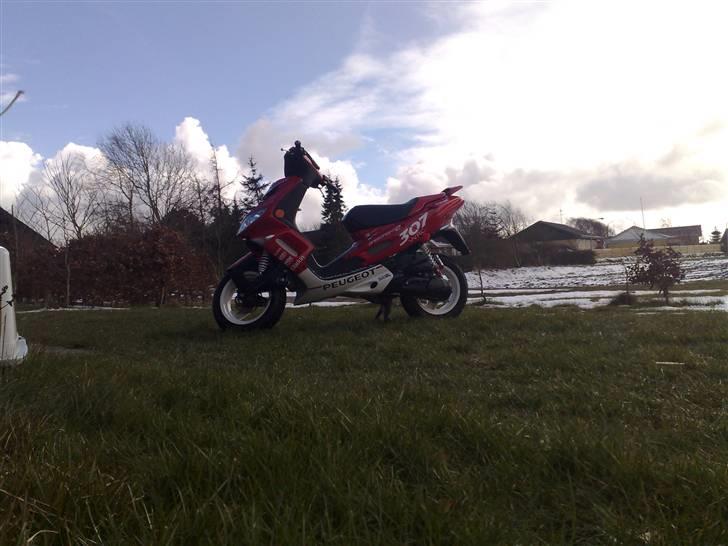 Peugeot Peugeot speedfight 2 WRC billede 10