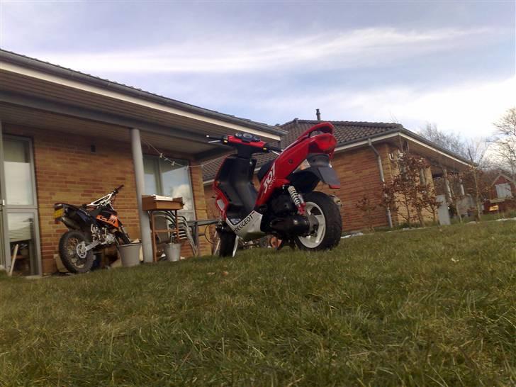 Peugeot Peugeot speedfight 2 WRC billede 11