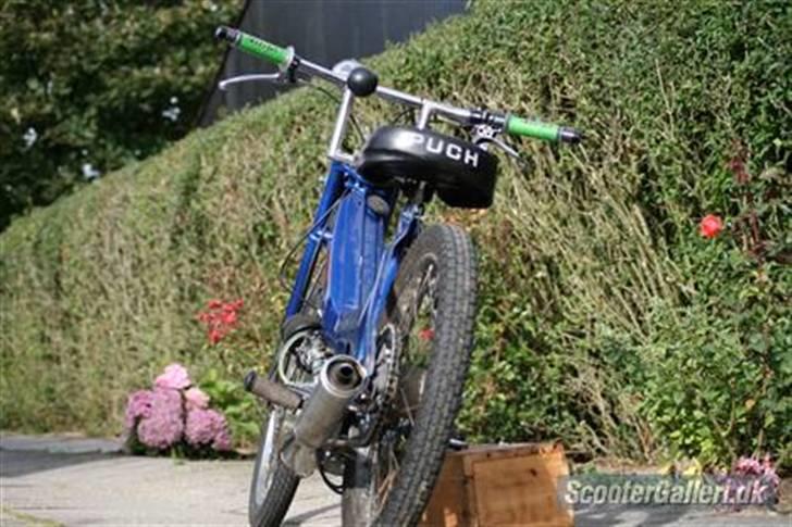 Puch maxi k byttet-chopper+1kg billede 6