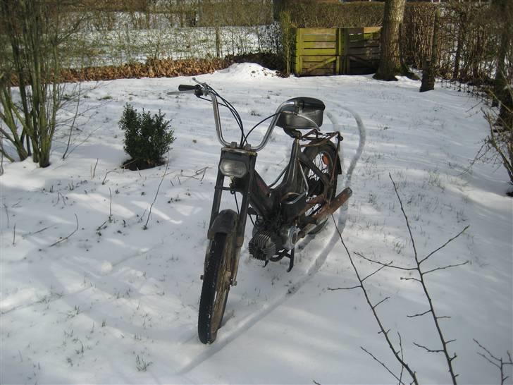 Puch Maxi K billede 17