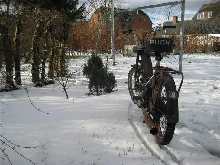 Puch Maxi K billede 20
