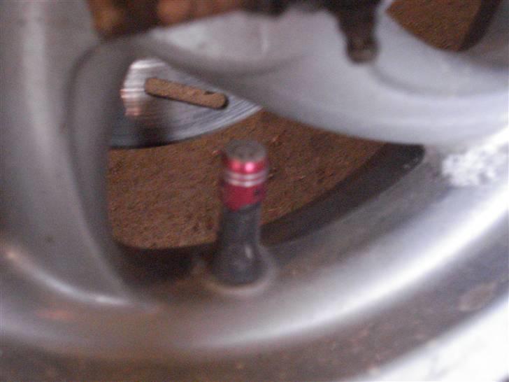 Piaggio typhoon byttet billede 6