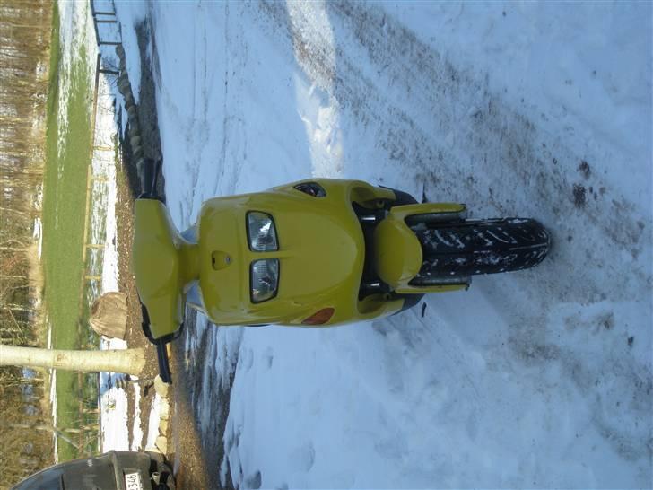 Kreidler Easy rider R.I.P!! billede 3