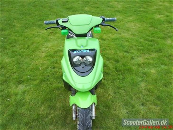 PGO Hot 50 // Solgt billede 4