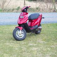 PGO Hot 50 "Projekt 2008" 