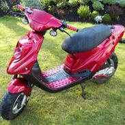 PGO Hot 50 "Projekt 2008" 