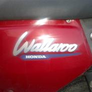 Honda Wallaroo power