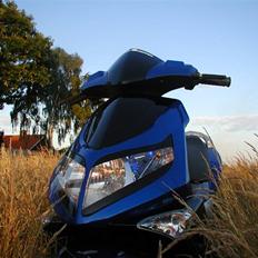 PGO G-max Gjorde det godt