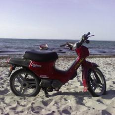 Honda Wallaroo power