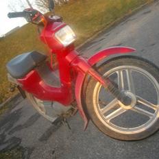 Honda Wallaroo power