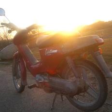 Honda Wallaroo power