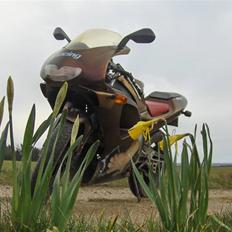 Aprilia RS50 - solgt