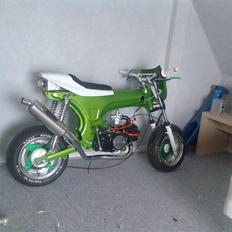 Honda dax - custom *