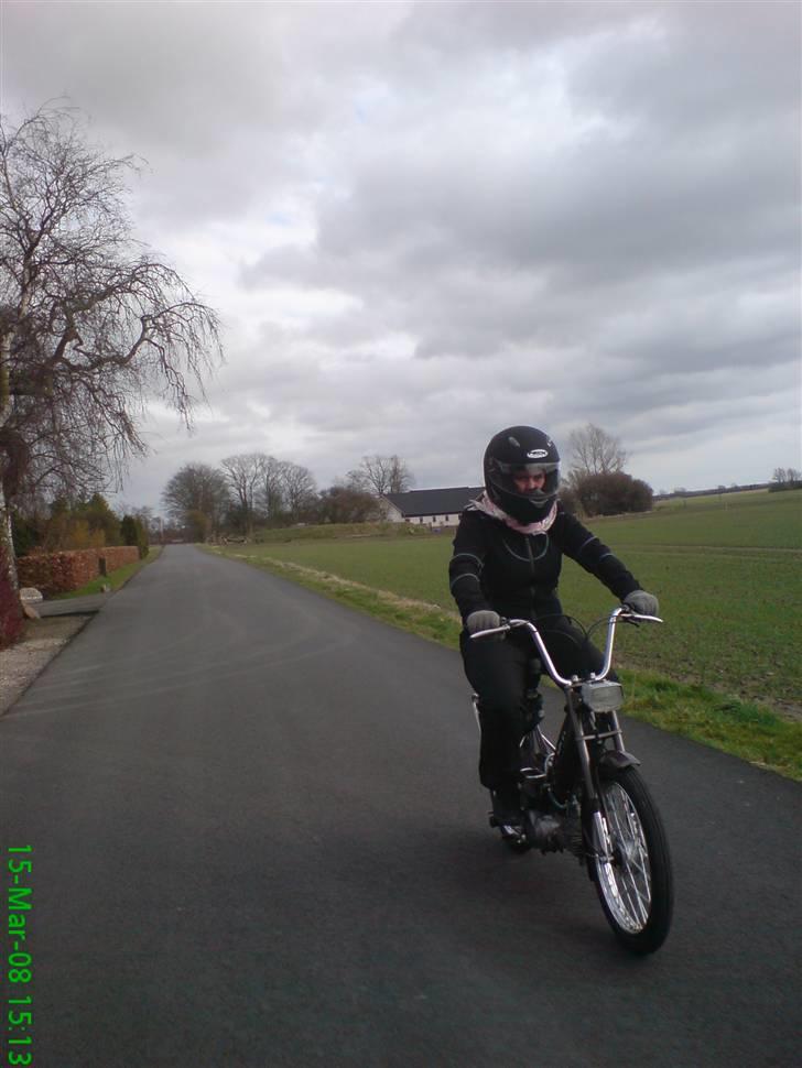 Puch Maxi k billede 1