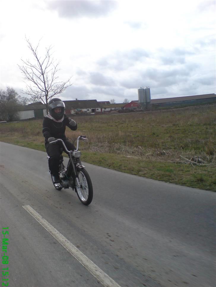 Puch Maxi k billede 4