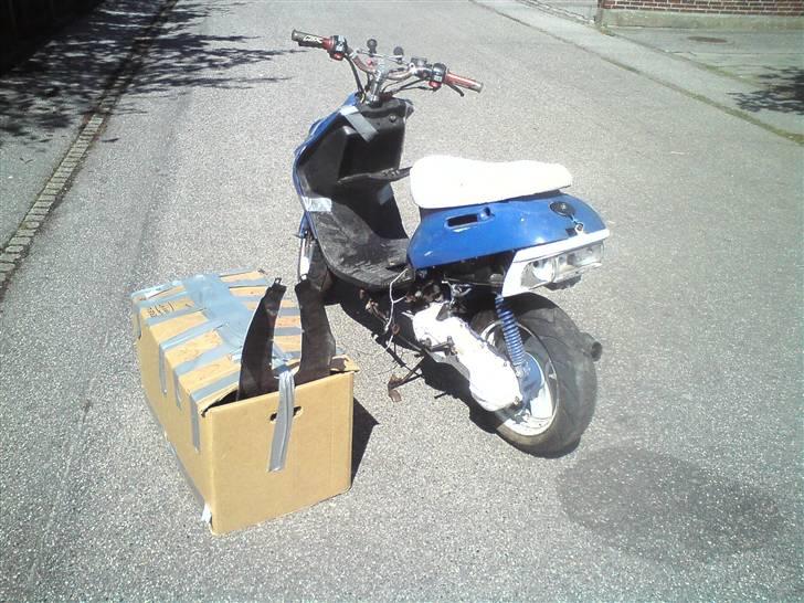 Adly Silverfox SOLGT! billede 10