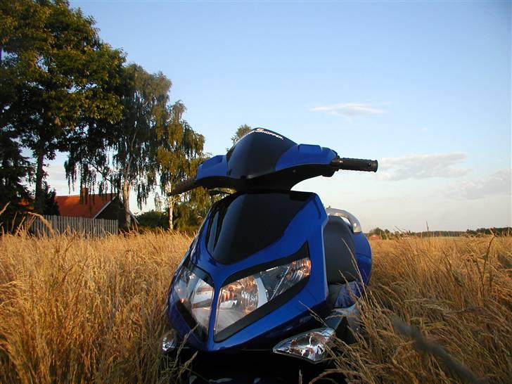 PGO G-max Gjorde det godt - G-max billede 1