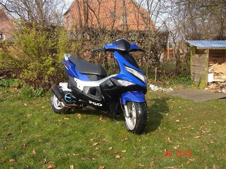 PGO G-max Gjorde det godt - G-max billede 2