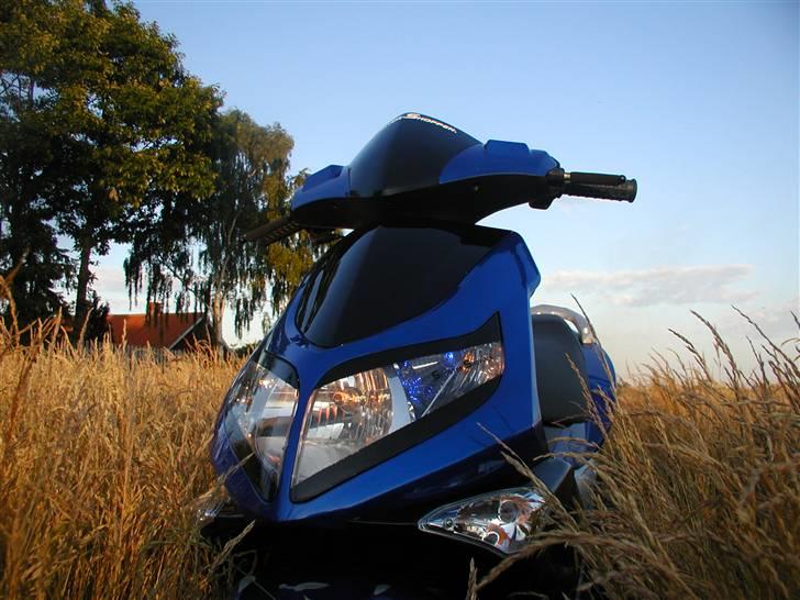 PGO G-max Gjorde det godt - G-max billede 3