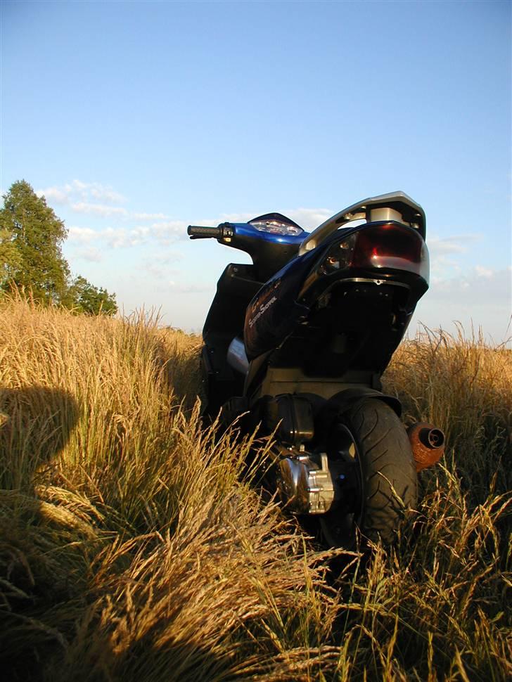 PGO G-max Gjorde det godt - G-max billede 4