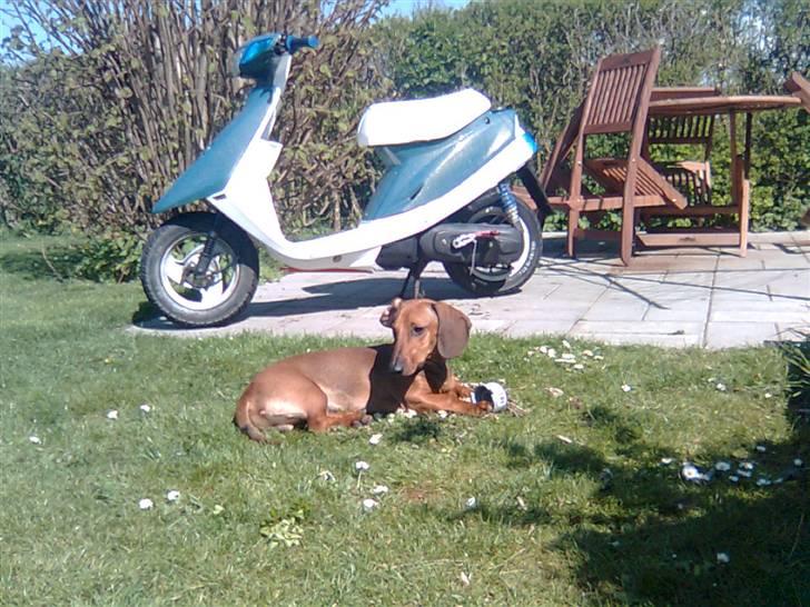 Yamaha JogAS byttet T SSM - Næsten færdig  billede 1