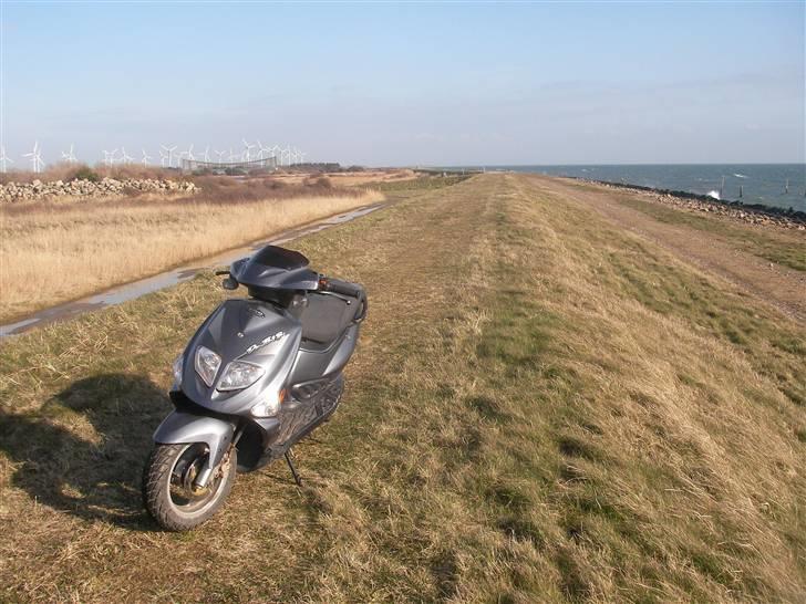 PGO Dr. Big SOLGT billede 2