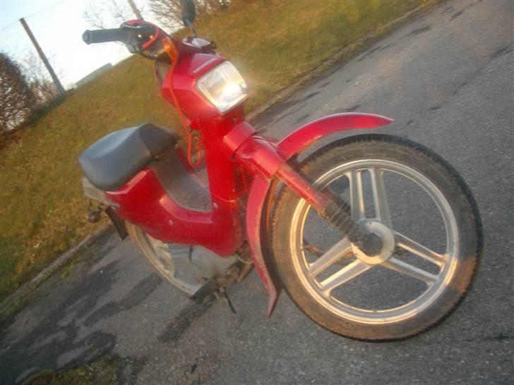 Honda Wallaroo power billede 2