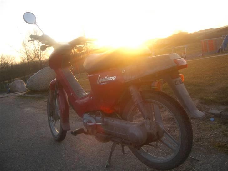 Honda Wallaroo power billede 3