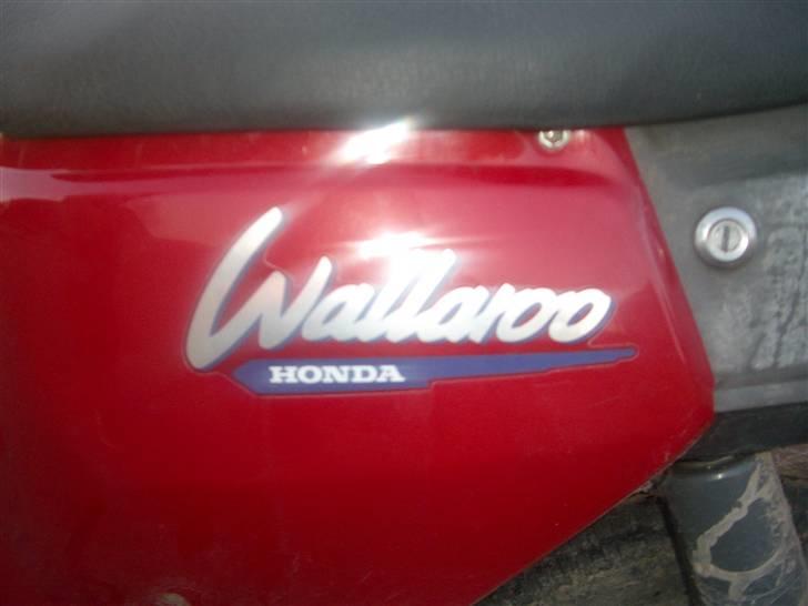 Honda Wallaroo power billede 4