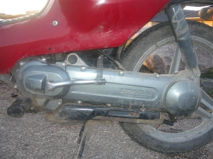 Honda Wallaroo power billede 5