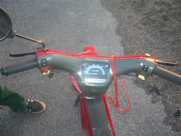 Honda Wallaroo power billede 6