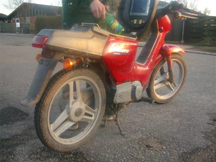 Honda Wallaroo power billede 8