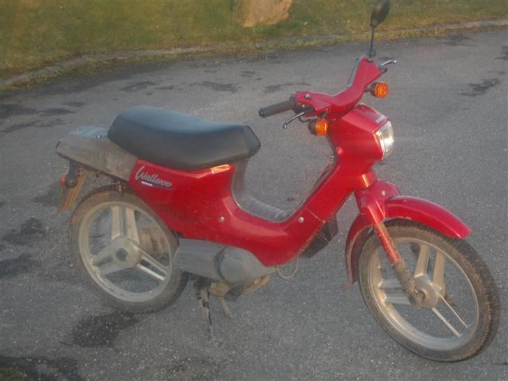 Honda Wallaroo power billede 9