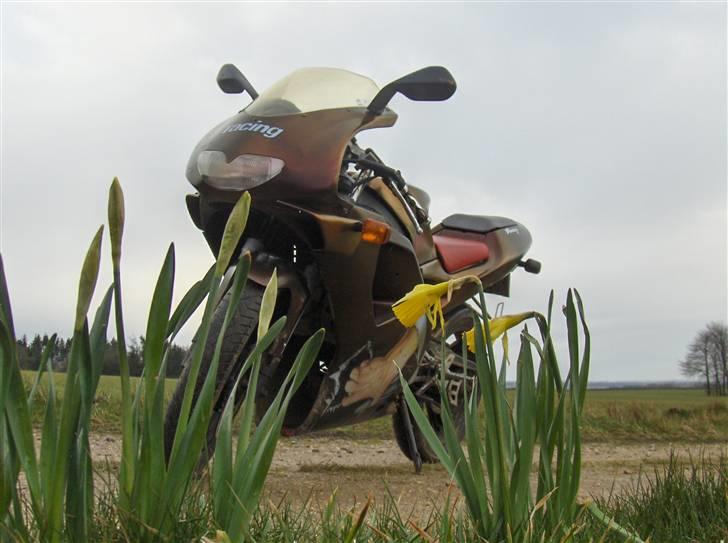 Aprilia RS50 - solgt billede 2